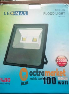 Leo Max Flood Light